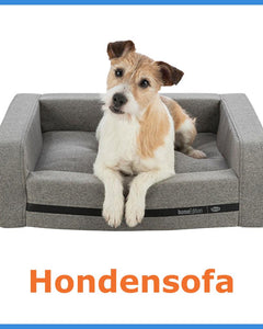 Hond zittend op een grijze hondensofa met opstaande randen.