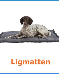 Collection image for: Ligmatten