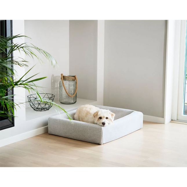 Een hond liggend in een beige Bia-bed in een kamer.