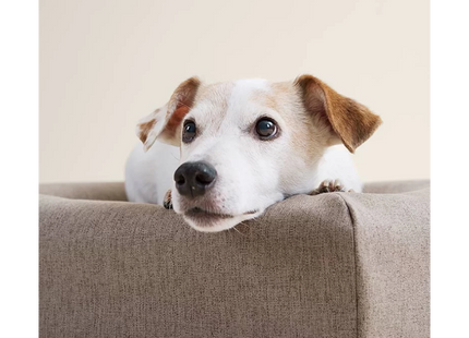 Een kleine hond liggend op een comfortabel Bia Bed bekleed met een bruine Skanör hoes.