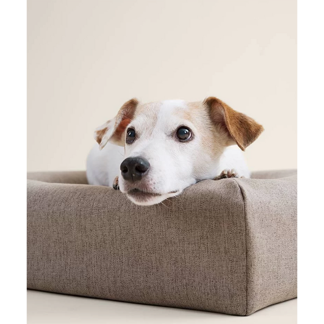 Een kleine hond liggend op een comfortabel Bia Bed bekleed met een bruine Skanör hoes.