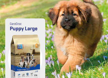 Er staat een puppy naast een zak CaroCroc - Puppy Large 25/17 voer, dat een hoog energieniveau heeft en bedoeld is voor puppy's in de groeifase. Het is belangrijk om dit specifieke product geleidelijk aan in hun dieet te introduceren.