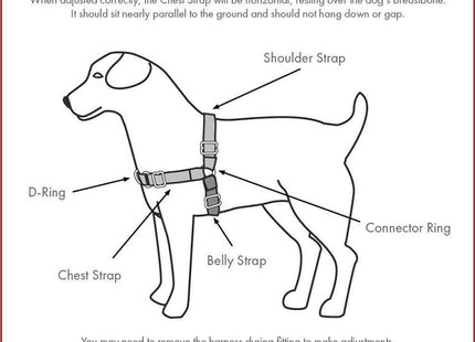 Easy Walk Anti-Pull-Hundegeschirr