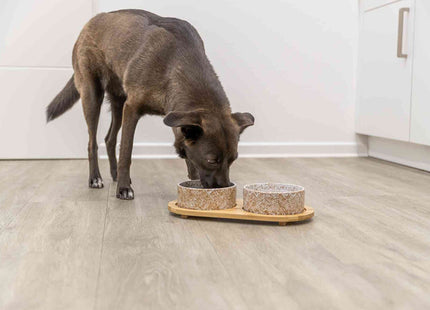 Een bruine hond die aan het eten is uit de Trixie voer- en waterbak set, bestaande uit twee wit-taupe keramische bakken met ruitmotief in een bamboe houder