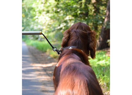 Met een Camon - Walky Dog Fietsbeugel aan de lijn lopend over een weg met diverse instelmogelijkheden.