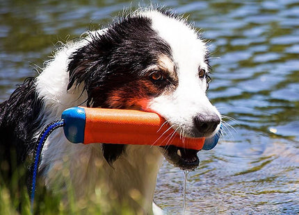 CHUCKIT! Amphibienstoßstange