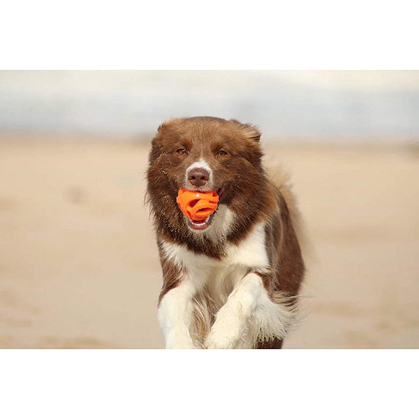 Chuckit! -  Breathe Right Fetch Ball