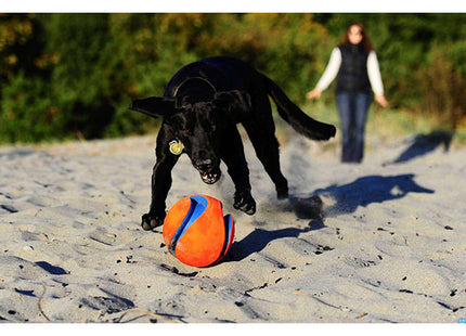 Een hond die plezier heeft met een Chuckit! - Schop bal halen op het strand.