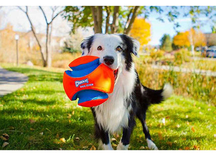 Een zwarte en witte hond met een Chuckit! - Kick Fetch bal in zijn mond.