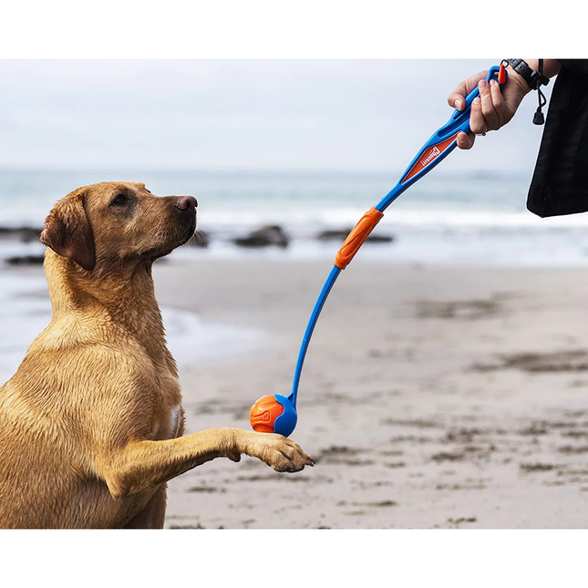 Een persoon houdt een hond aangelijnd op het strand en speelt apporteren met een Chuckit! - Ophaal- en vouwwerper Werpstok.