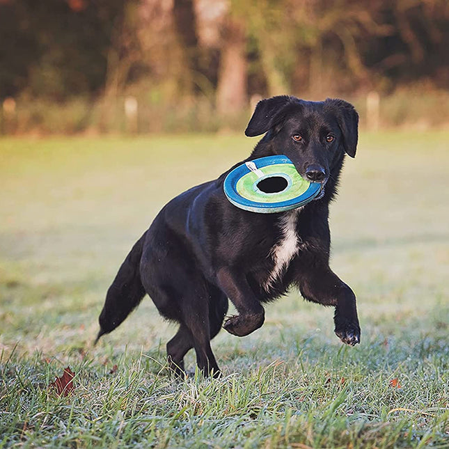 Een zwarte hond die enthousiast rent en speelt met een Chuckit! - Ritsvlucht.