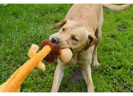 Een hond speelt met een Happy Pet - Wild Crinkler.