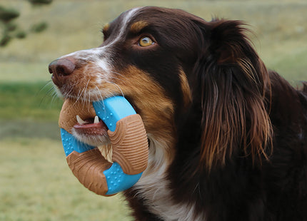 Een hond die vrolijk speelt met een Kong - CoreStrength Bamboe Ring in zijn bek en langdurig speelplezier beleeft.