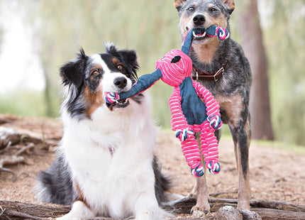 Twee honden spelen met een Kong - Floppy Knots Hippo-speelgoed.