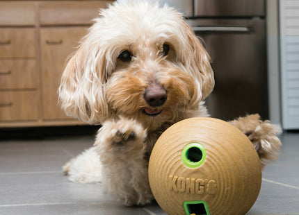 Een hond die speelt met een Kong - Bamboo Feeder Ball in een keuken.