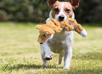 Een kleine hond speelt vrolijk met een Kong - Scrunch Knots Squirrel-speelgoed in zijn mond.