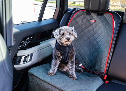 Een waterdichte Kong - Hoes Voor Autostoel op de autostoel met een hond op de achterbank van een auto.