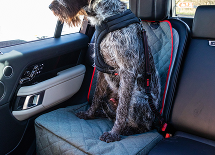 Een hond veilig zittend op een Kong - Hoes Voor Autostoel.