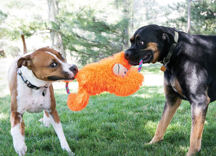 Twee honden spelen met een Kong-Tuggz-speelgoed in het gras.