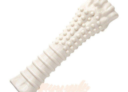 Een Nylabone - Power Chew Chicken Flavour-speeltje, geplaatst op een witte achtergrond.