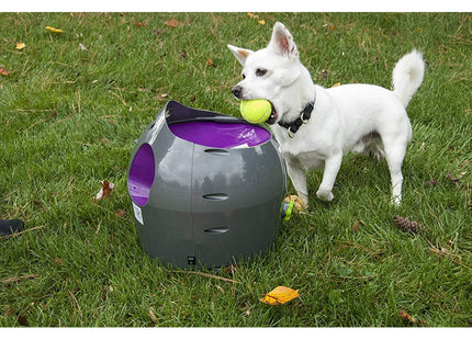 PetSafe - Automatic Ball Launcher