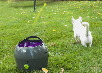 PetSafe - Automatic Ball Launcher