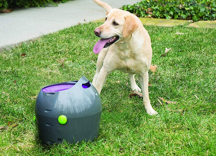 PetSafe - Automatic Ball Launcher