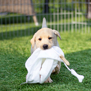 Een puppy speelt met de Rosewood - Puppy Knuffel-Deken.