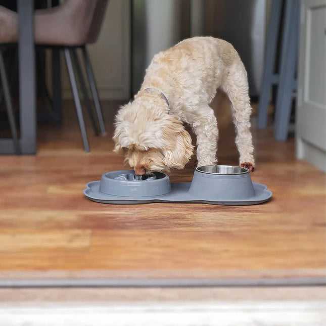 Slowfeeder voor honden