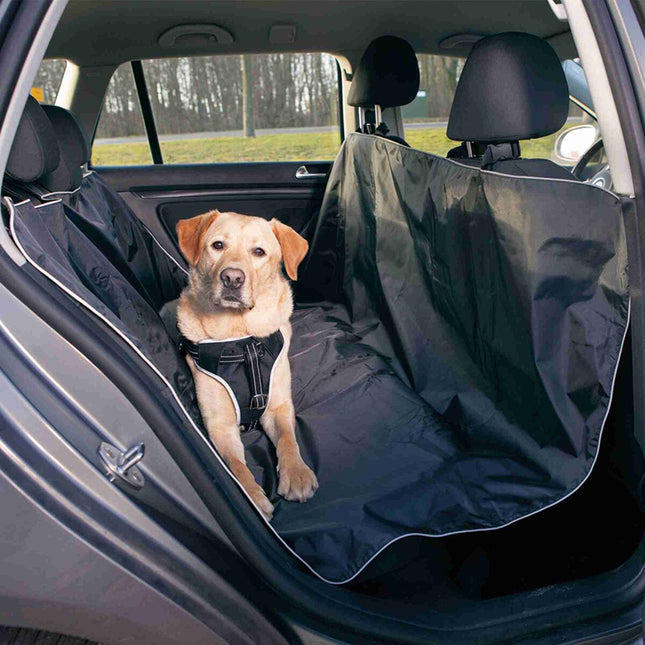 Een hond zittend op een Trixie - Auto Beschermdeken op de achterbank van een auto, beveiligd met een autogordel.