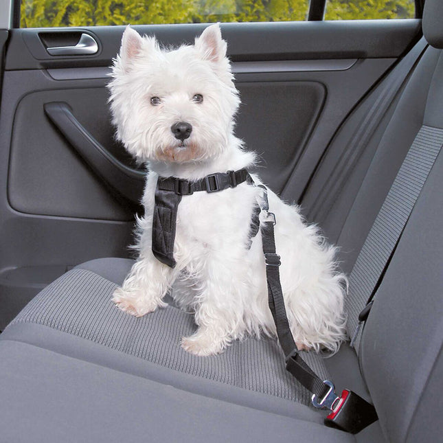 Een hond die de Trixie - Auto-Tuig Zwart draagt, zit veilig achterin een auto, waardoor reizen veiliger wordt.