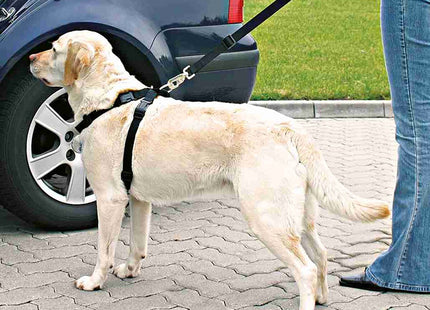 Trixie - Auto-Tuig Zwart is een hondentuig auto inclusief gordel dat zorgt voor veiliger reizen voor uw hond aangezien deze aangelijnd is aan een auto.
