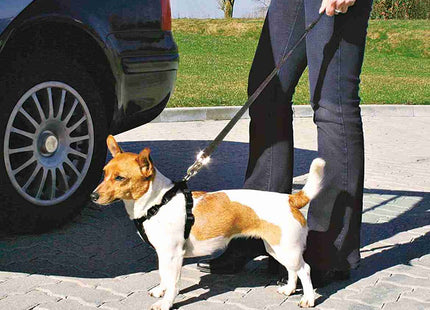 Een vrouw die naast een auto staat met een hond aangelijnd, zorgt voor veiliger reizen met de Trixie - Auto-Tuig Zwart.