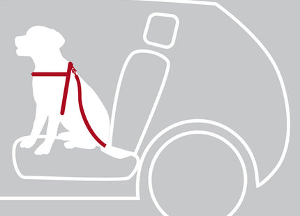 Voor veiliger reizen zorgt de Trixie - Auto-Tuig Zwart ervoor dat een hond veilig op de achterbank van een auto zit, met het hondentuig auto inclus.