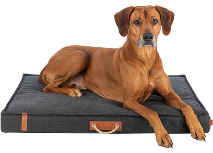Een bruine hond die geniet van het comfort van een afneembare en wasbare Trixie - Föhr Hondenmatras met canvas look en feel.