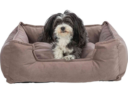 Een Trixie - Hondenmand Talia bekleed met een velourslook stof wordt bewoond door een kleine hond.