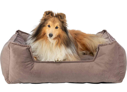 Een hond, comfortabel uitrustend in een luxe Trixie - Hondenmand Talia.