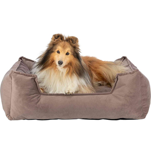 Een hond, comfortabel uitrustend in een luxe Trixie - Hondenmand Talia.