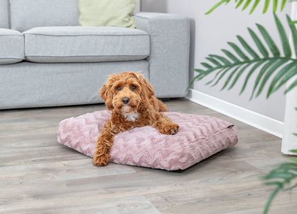 Een hond liggend op een roze Trixie -Vitaal Hondenkussen Loki, een orthopedisch kussen gemaakt van gerecyclede materialen, in een woonkamer.
