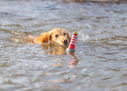 Hond speelt met Trixie Aqua Toy Vuurtoren in het water