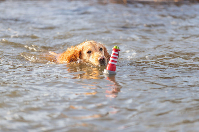 Hond speelt met Trixie Aqua Toy Vuurtoren in het water