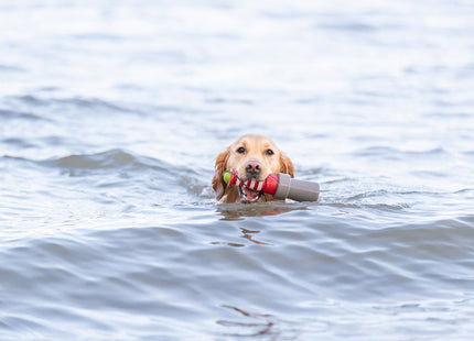 Hond zwemt met Trixie Aqua Toy Vuurtoren aan Koord