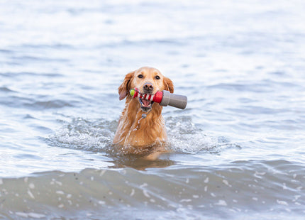 Hond met Trixie Aqua Toy Vuurtoren in de mond in het water