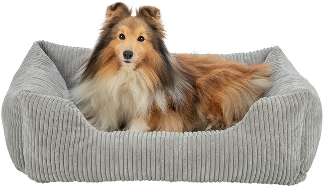 Shetland Sheepdog genietend van de orthopedische ondersteuning van de Vitaal Mand Jonna.