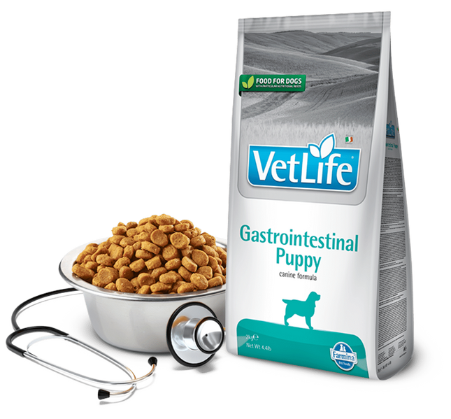 Farmina Vet Life Gastrointestinal Puppy