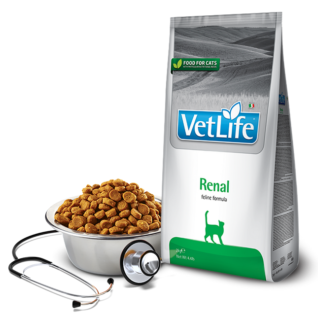 Farmina Vet Life Renal Kat