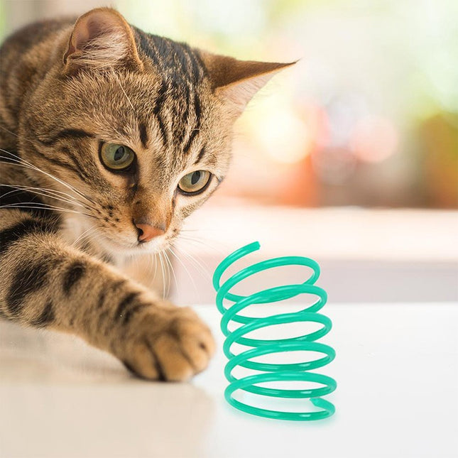 Een kat die speelt met een groen Schulze - Spiral Springs-speelgoed.