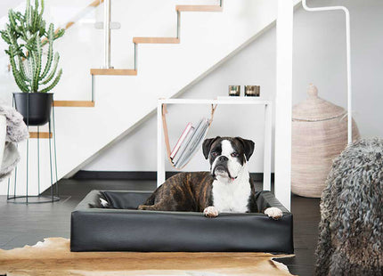 Een hond die heerlijk uitrust in een Bia Bed - Original Hondenmand, een van de hoogste kwaliteit hondenbedden ontworpen ter bevordering van gezonde gewrichten.