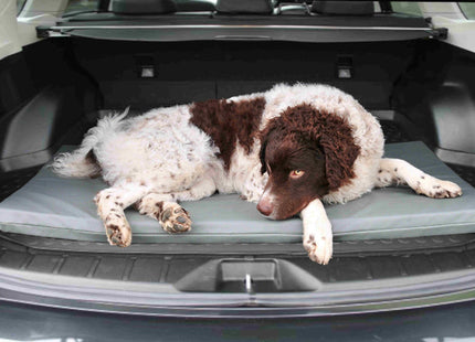 Een comfortabele hond liggend in de kofferbak van een auto op een Bia Bed - Original Matras.