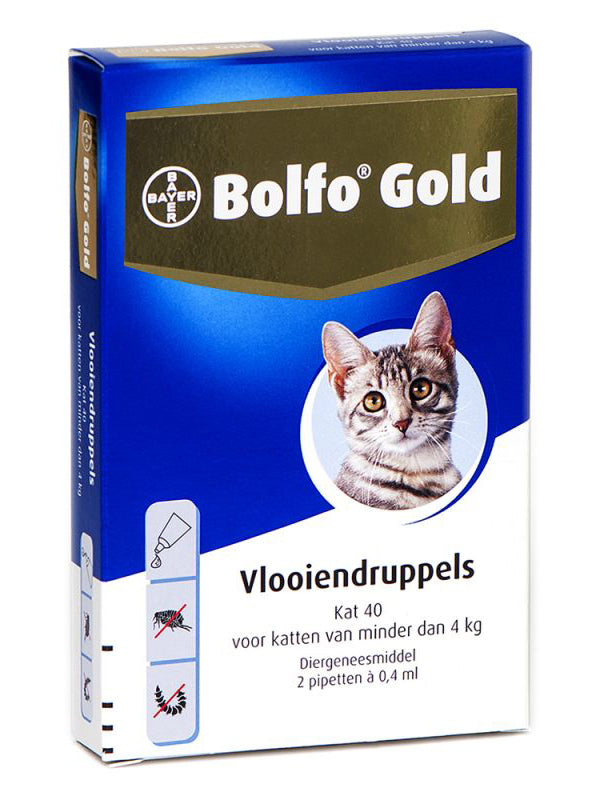 Een doos Bolfo Gold Kat 40 voor Katten van minder dan 4 kg, het ultieme vlooienmiddel voor katten.